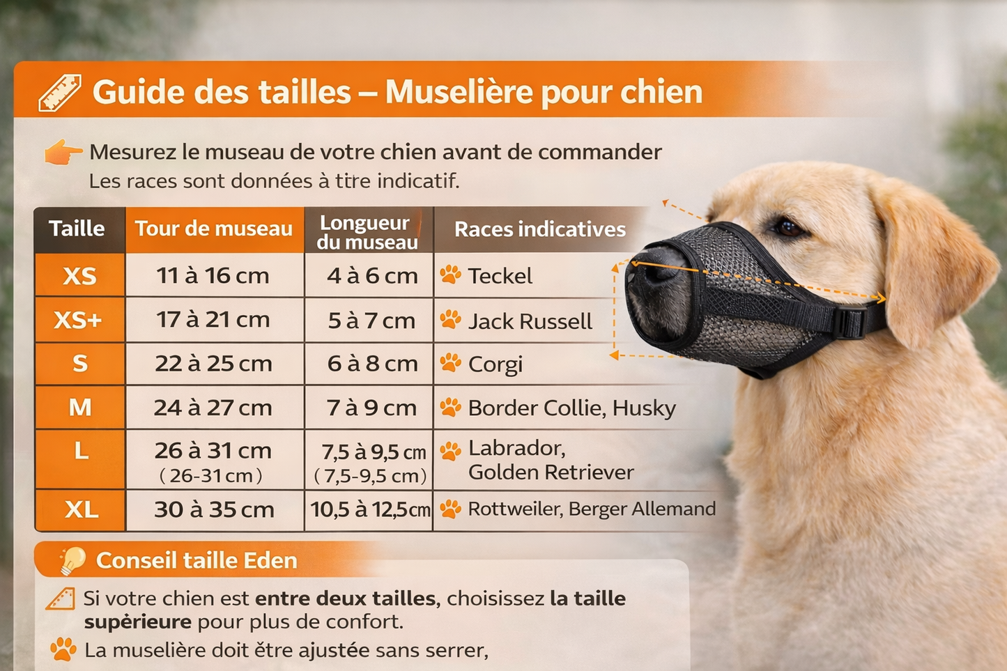 Muselière respirante pour chien