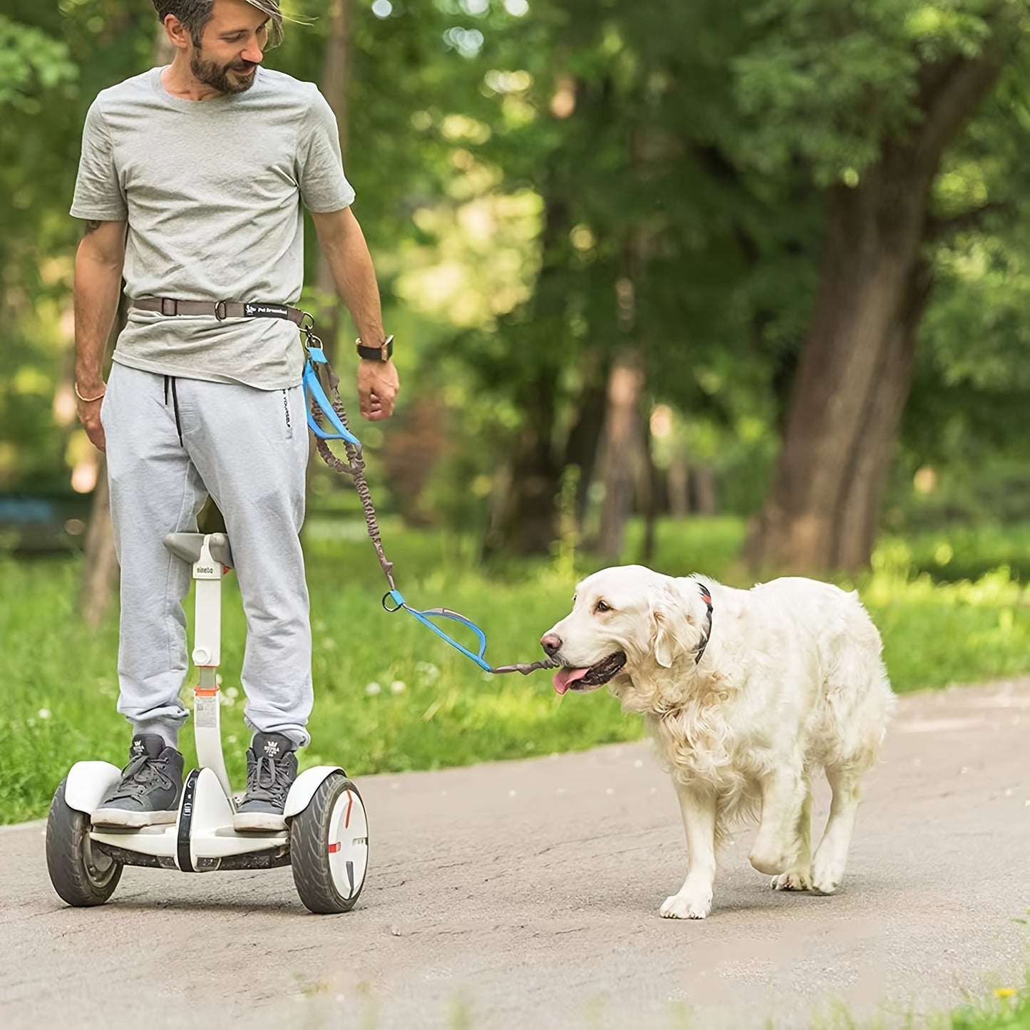 Laisse + collier mains libres pour chien – Running & promenade