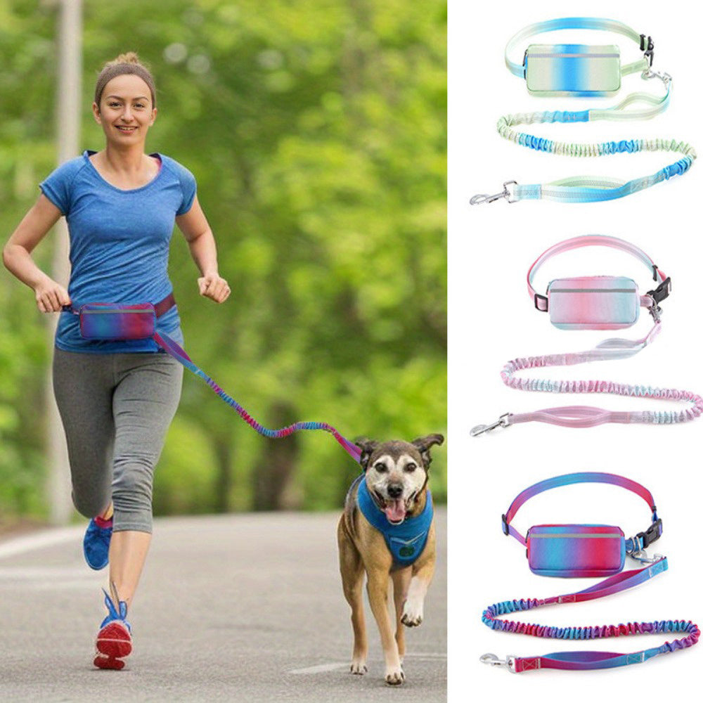 Laisse mains libres pour chien – Marche & running