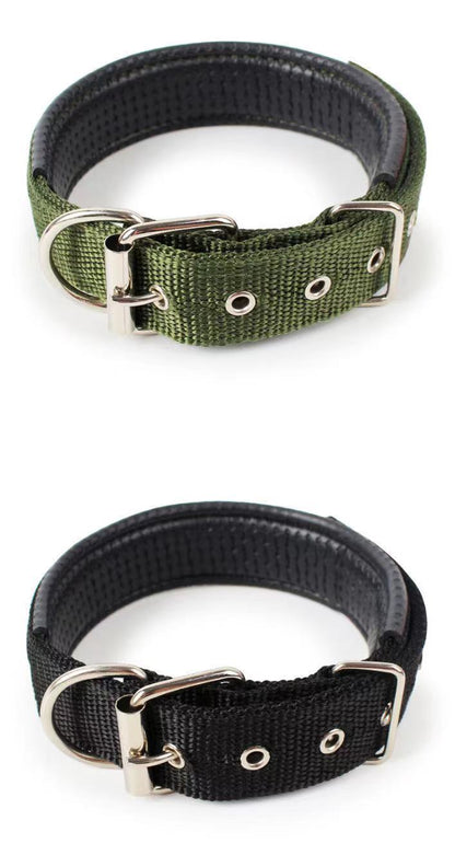 Collier pour chien – Résistant & confortable