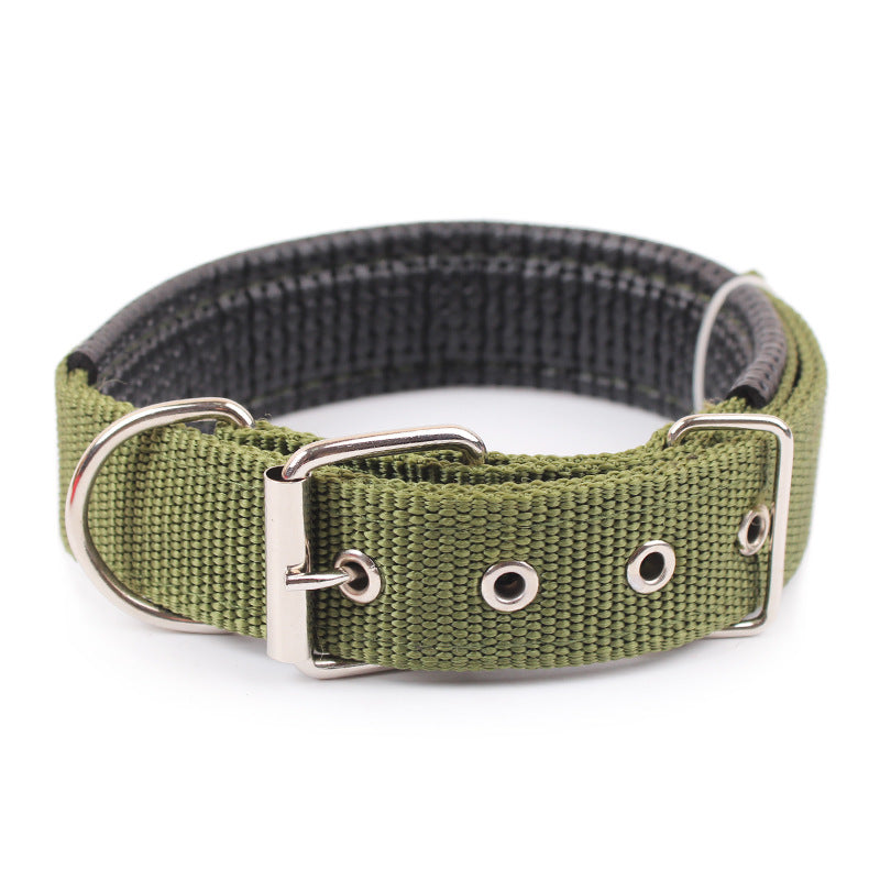Collier pour chien – Résistant & confortable