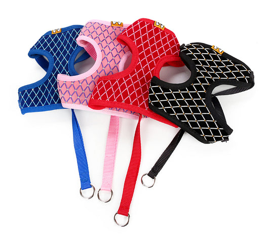 Harnais respirant avec laisse – Chien & Chat