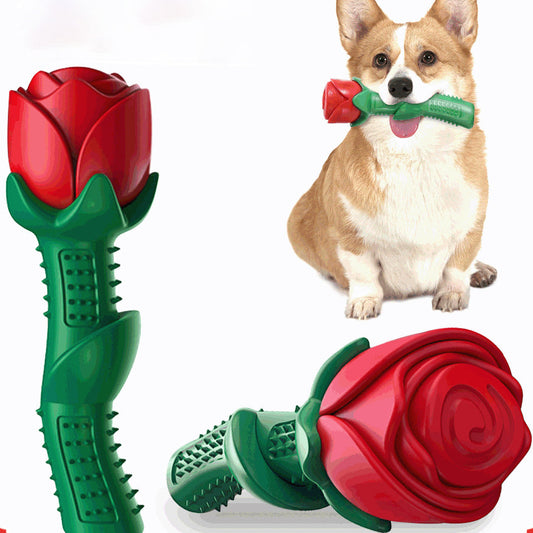 Jouet Chien Rose Éternel