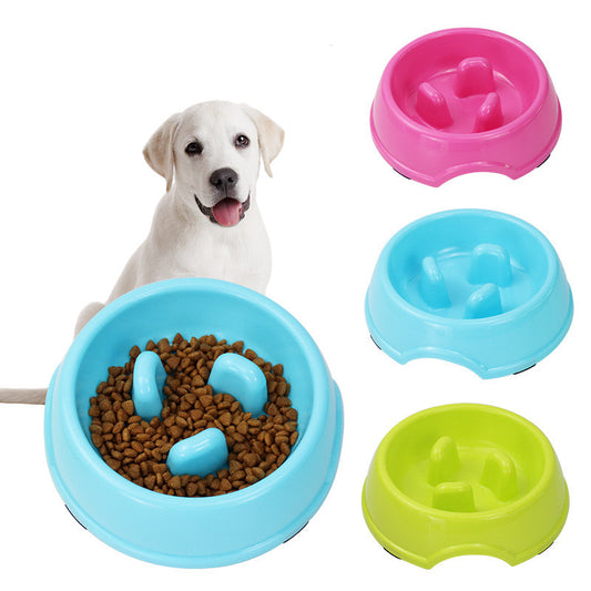 Gamelle anti-glouton compacte – Slow food pour chien & chat