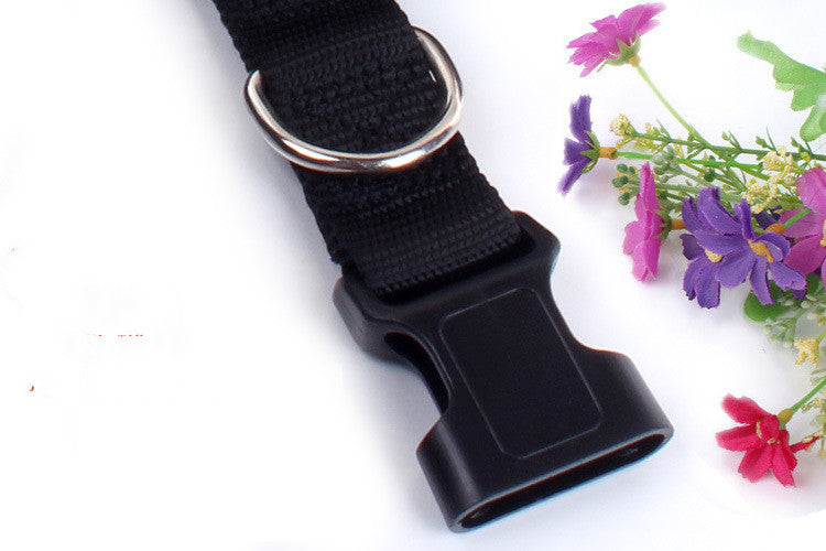 Laisse de course multifonction