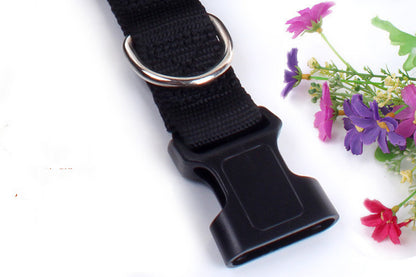 Laisse de course multifonction