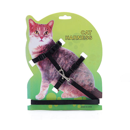 Harnais pour Chat avec Laisse