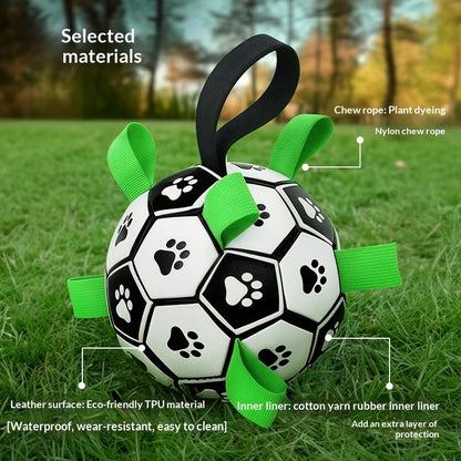 Balle Interactive pour Chien – Lancer & Jeu Actif