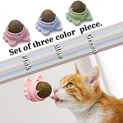 Balles d’herbe à chat  – Jouet dentaire rotatif 360°