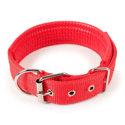 Collier pour chien – Résistant & confortable