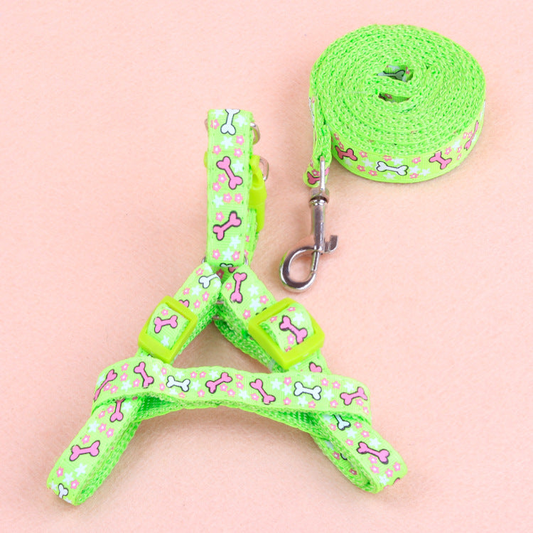 Ensemble Harnais & Laisse pour Chat