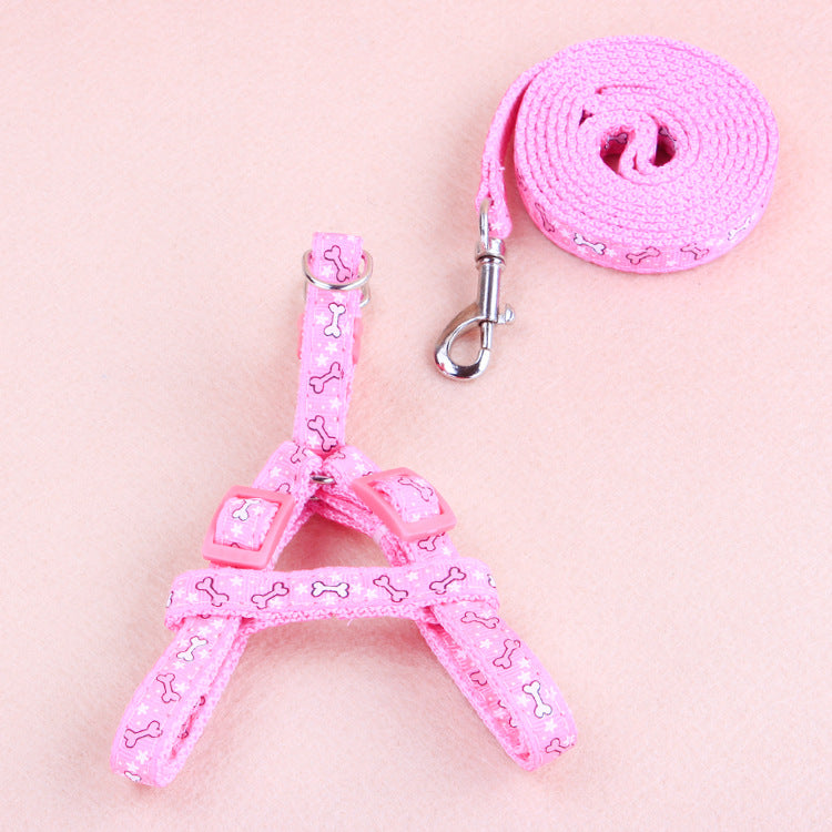 Ensemble Harnais & Laisse pour Chat