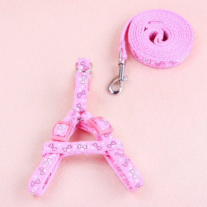 Ensemble Harnais & Laisse pour Chat