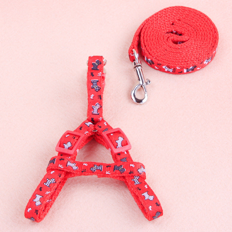 Ensemble Harnais & Laisse pour Chat