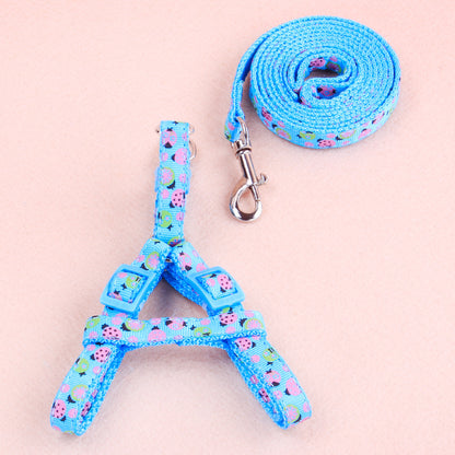 Ensemble Harnais & Laisse pour Chat