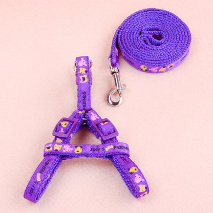 Ensemble Harnais & Laisse pour Chat