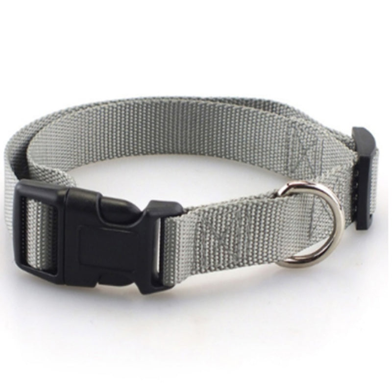 Collier pour chien en nylon