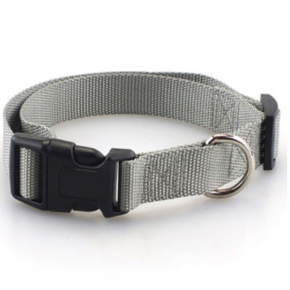 Collier pour chien en nylon
