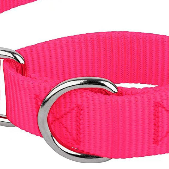 Collier réglable en nylon pour chien et chat – résistant & confortable