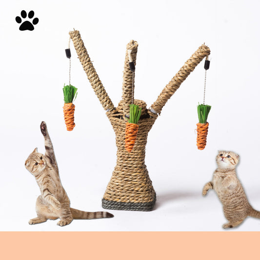 Arbre à Griffer pour Chat en Sisal