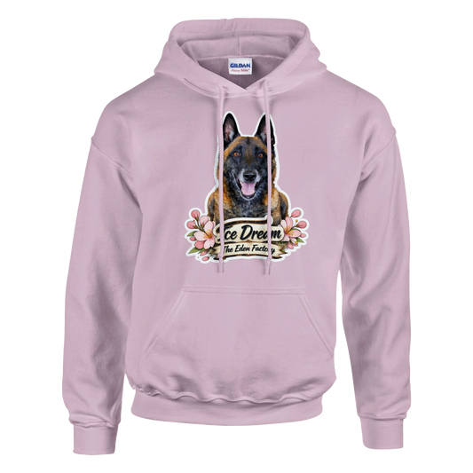 3744bac2-8e20-475c-91de-e8a3690747f6