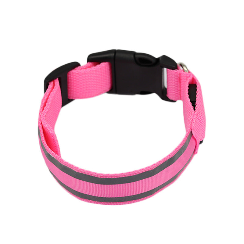 Collier LED Lumineux Anti-Perte pour Chien