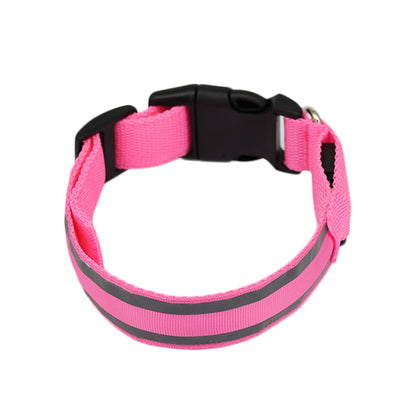 Collier LED Lumineux Anti-Perte pour Chien