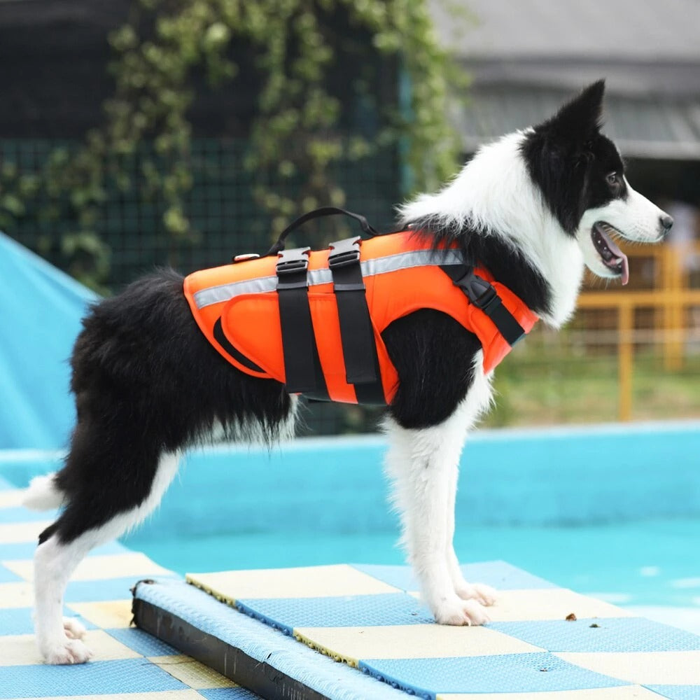 Gilet de sauvetage réfléchissant pour chien
