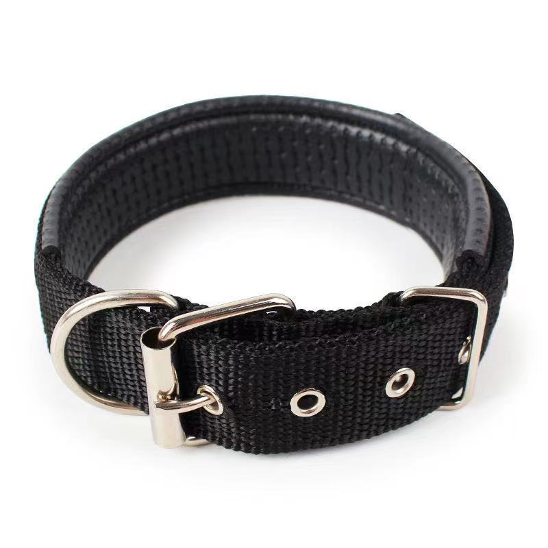 Collier pour chien – Résistant & confortable