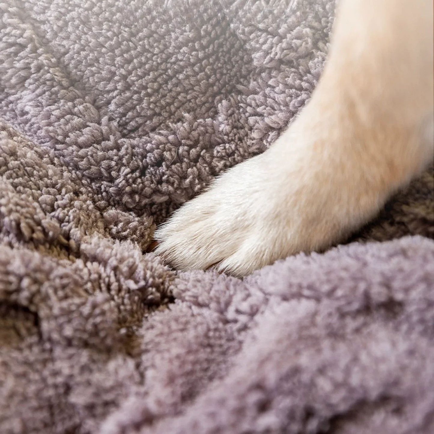 Matelas Premium pour Chien & Chat– Coussin Respirant Antidérapant