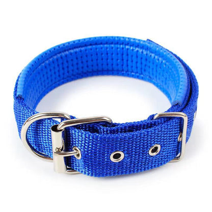 Collier pour chien – Résistant & confortable