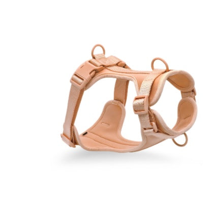 Harnais pour chien – maintien sécurisé & confort