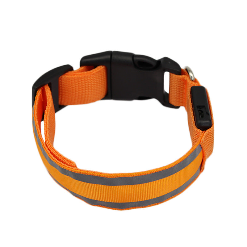 Collier LED Lumineux Anti-Perte pour Chien