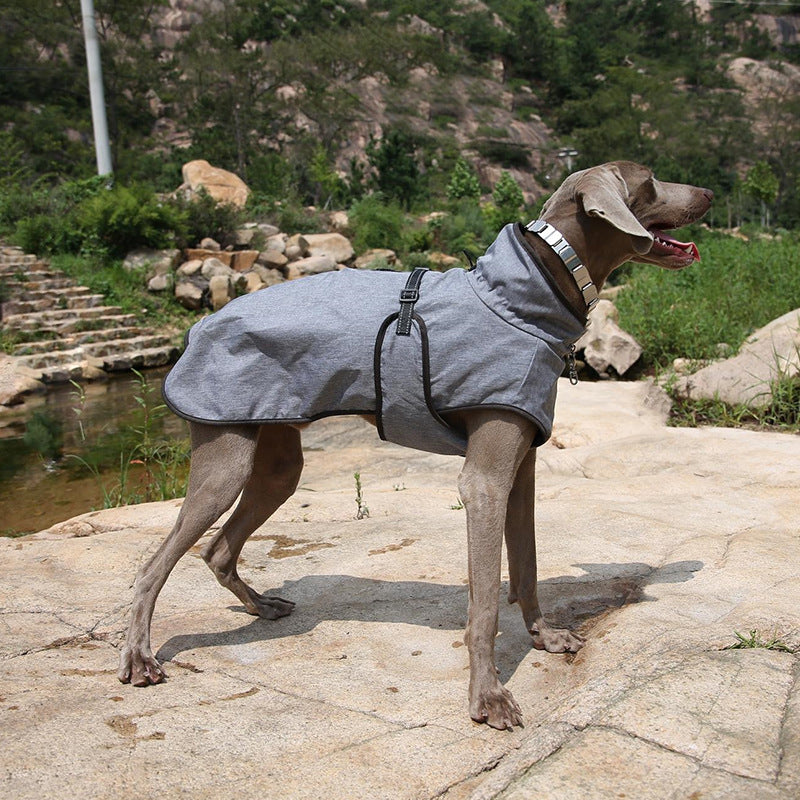 Manteau Chien Imperméable & Chaud