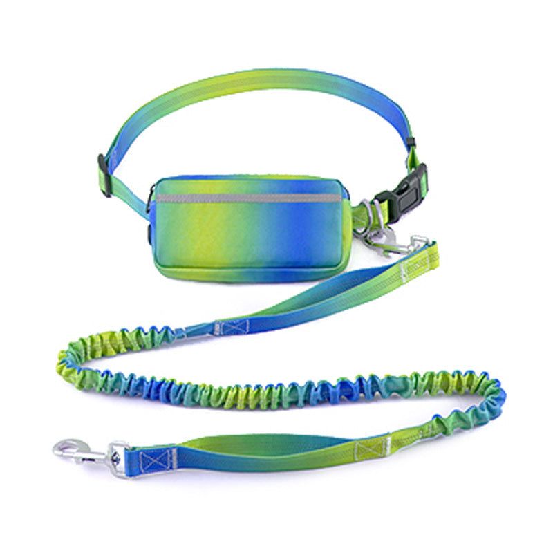 Laisse mains libres pour chien – Marche & running