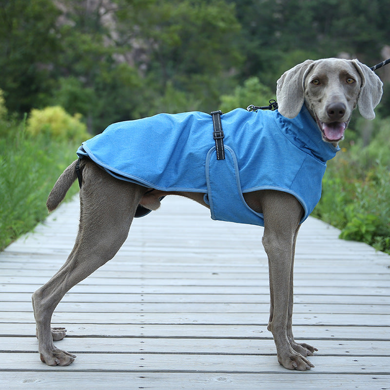 Manteau Chien Imperméable & Chaud