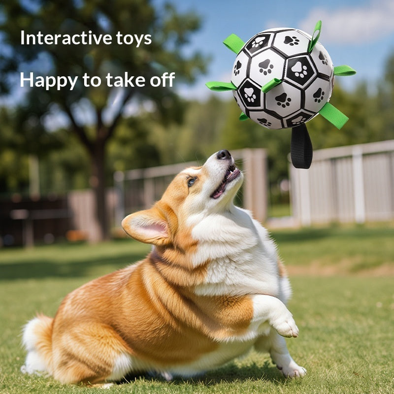 Balle Interactive pour Chien – Lancer & Jeu Actif