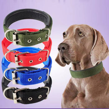 Collier pour chien – Résistant & confortable