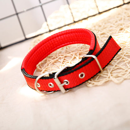 Collier pour chien – Résistant & confortable