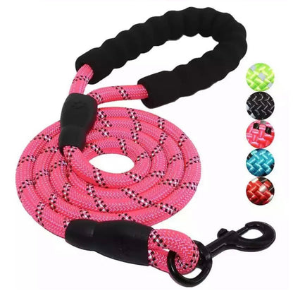 Laisse lumineuse pour chien