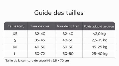 Harnais respirant pour chat