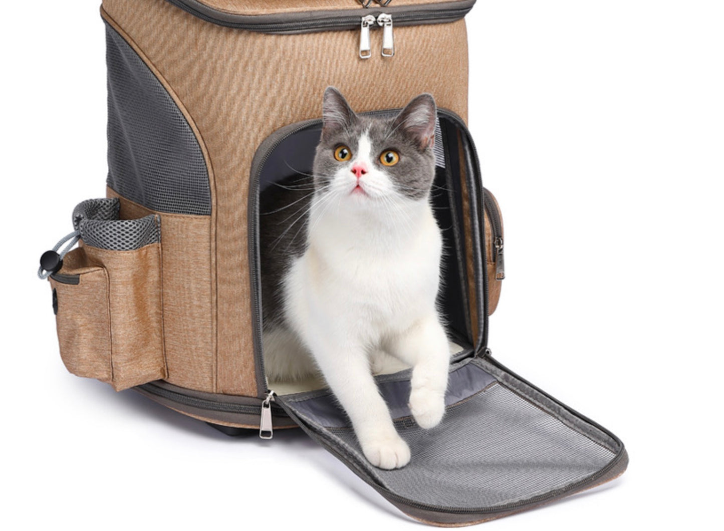 Sac de Transport Trolley Pliable – Valise à Roulettes Confort & Voyage