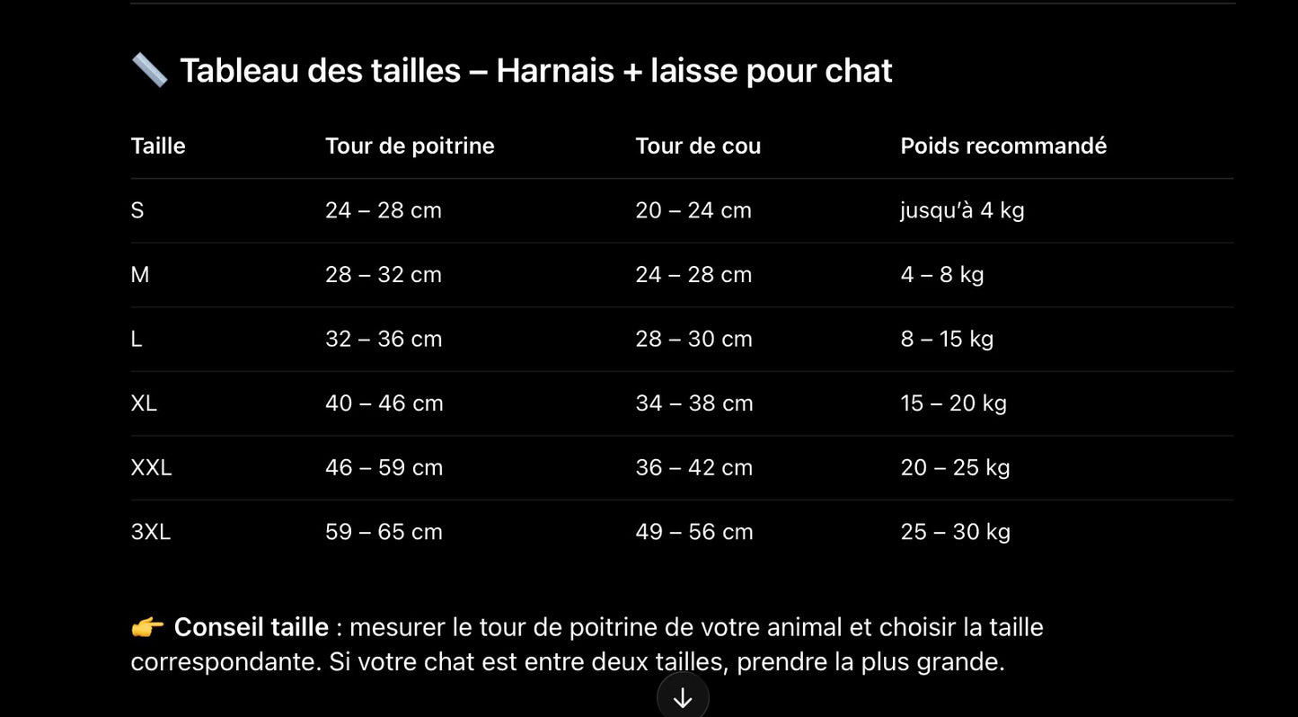Harnais + Laisse pour Chat