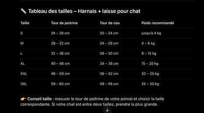Harnais + Laisse pour Chat