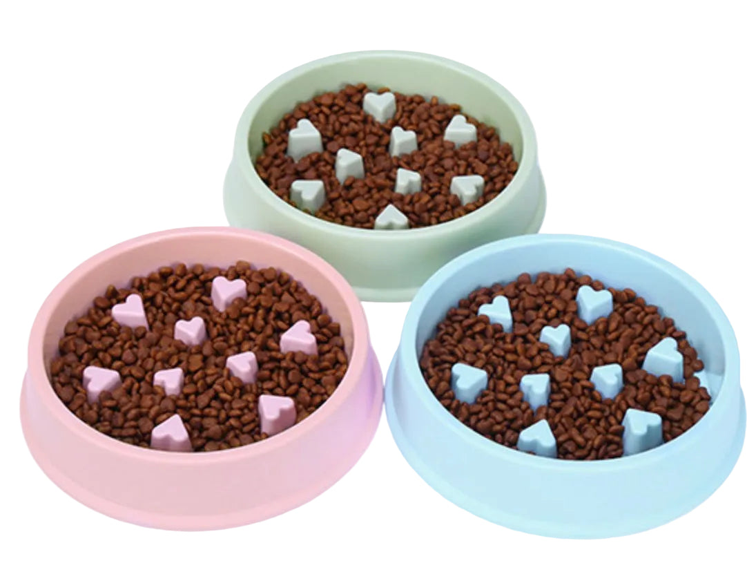 Gamelle anti-glouton – Bol slow food