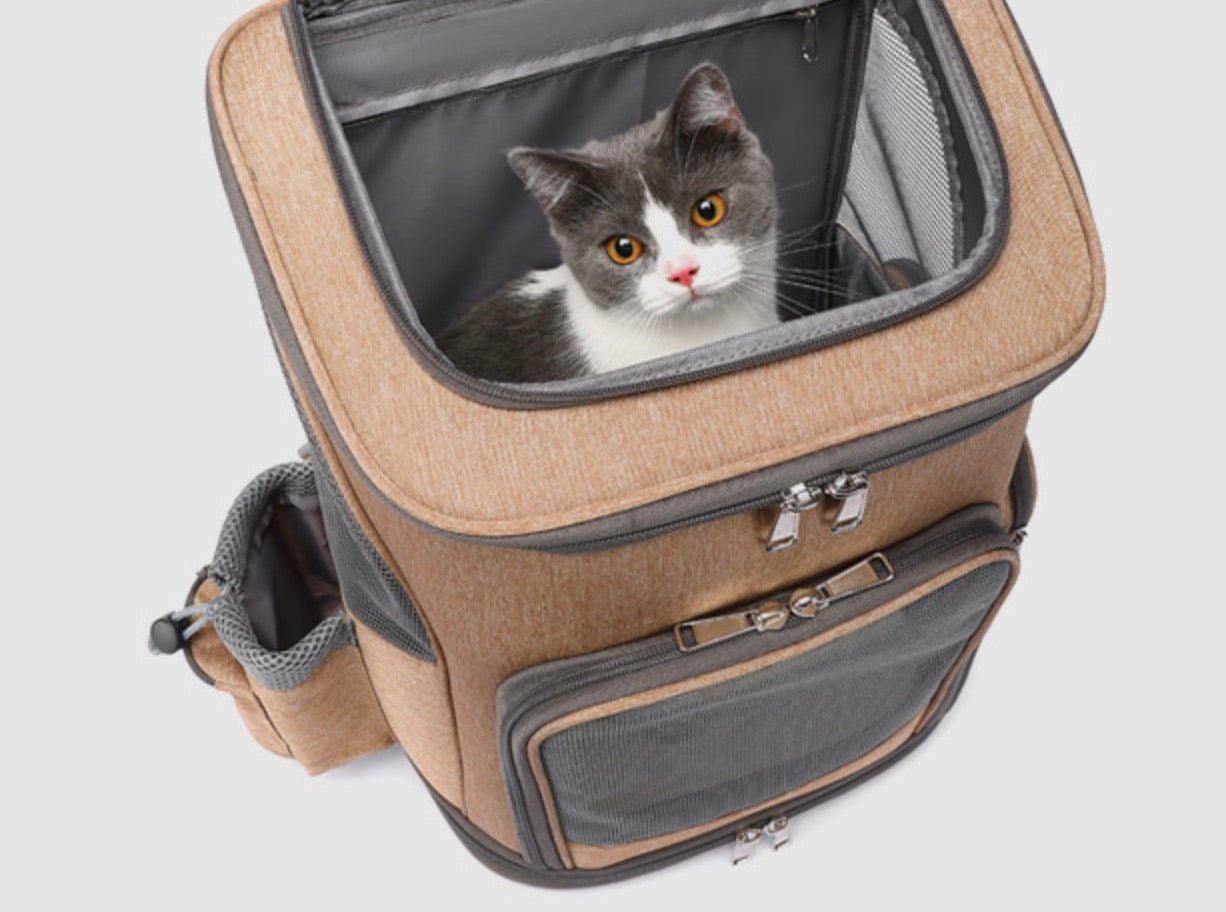 Sac de Transport Trolley Pliable – Valise à Roulettes Confort & Voyage