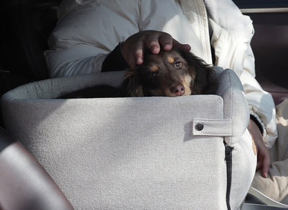 Siège auto centrale pour chien & chat