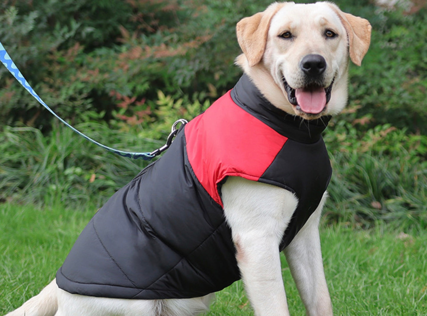 Manteau d’Hiver Chaud pour Chien – Pullover Matelassé Confort & Protection