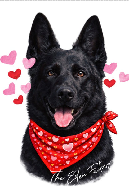 Black Diamond - Berger allemand édition saint Valentin