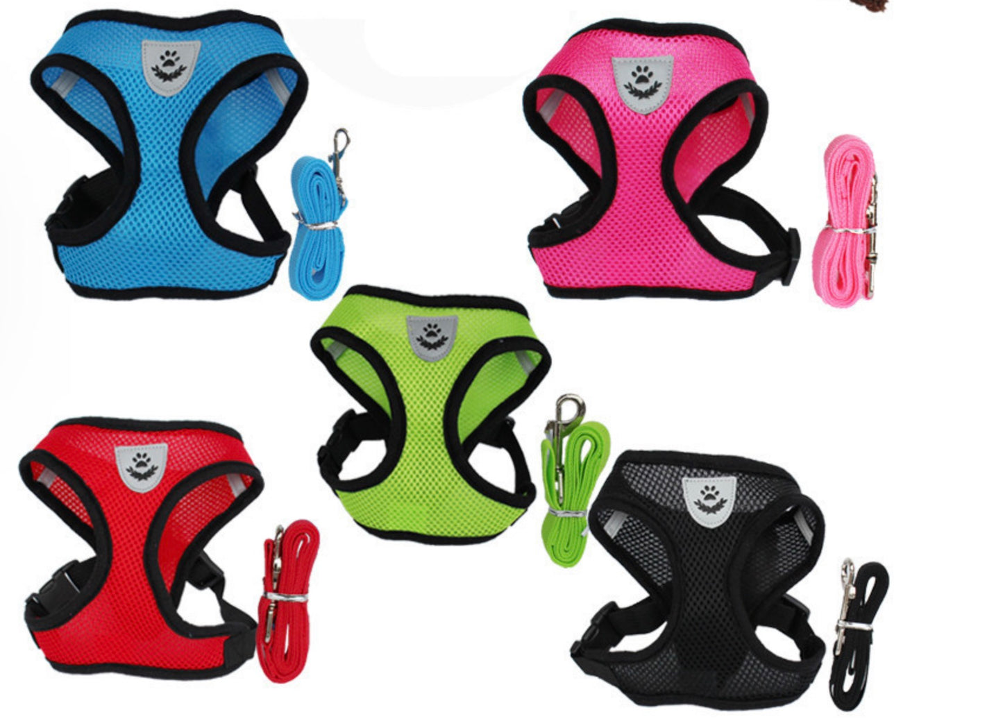 Harnais respirant pour chat